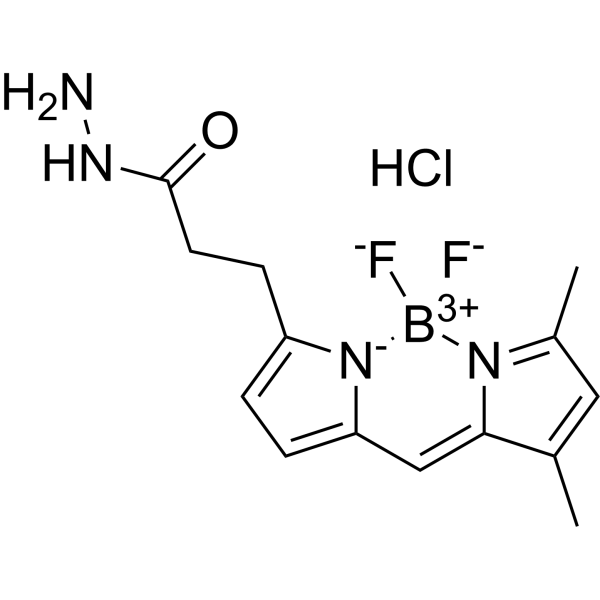 BODIPY FL hydrazide hydrochloride 2183473-45-0